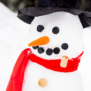 Build Your Own Snowman Kit